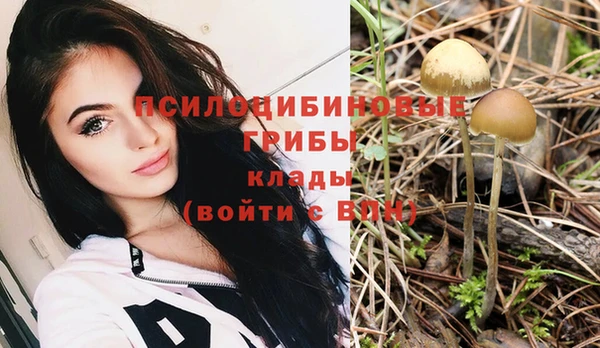 Альфа ПВП Армянск