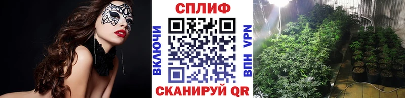 Канабис гибрид Чапаевск